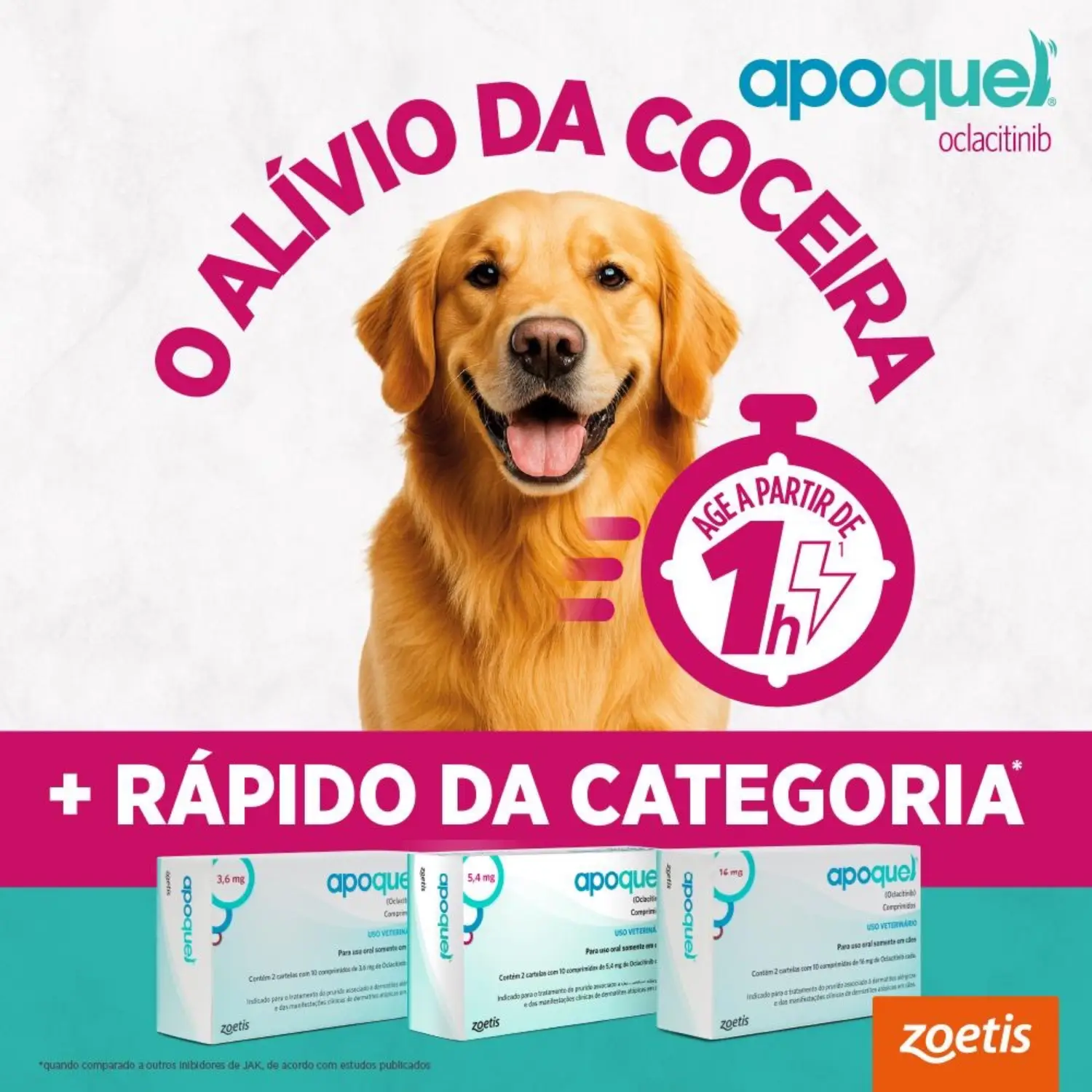 Apoquel- Alivio da Coceira
